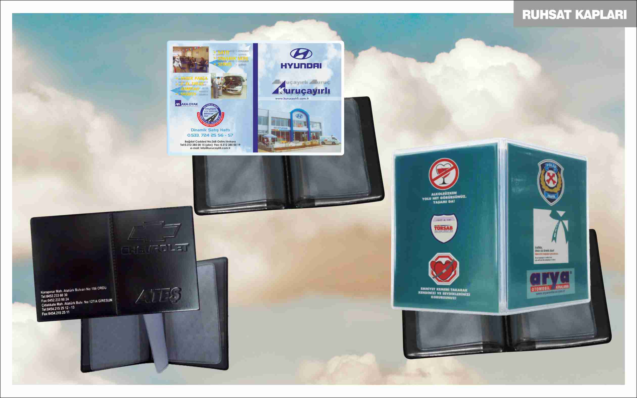 baskılı ruhsat kabı